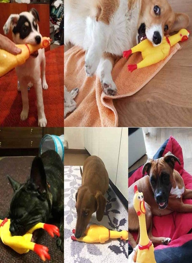 THE DDS STORE Rubber Screaming Chicken Toy for Kids & Pets - Super Durable & Funny Squeaky Chicken Dog Chew Toy - Image 5